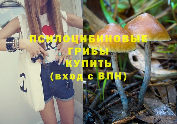 героин Абаза