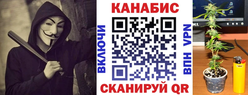 Шишки марихуана планчик  продажа наркотиков  Киселёвск 